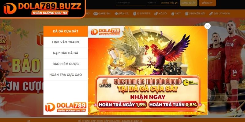 Lý do thành viên nên đăng ký tài khoản Dola789
