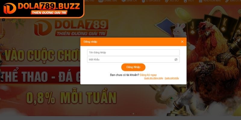 Kiểm tra và xác nhận đăng nhập Dola789